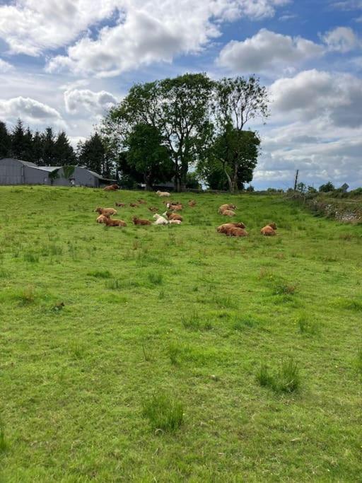 Whitethorn Cottage, Palmfield Ballaghaderreen Eksteriør billede
